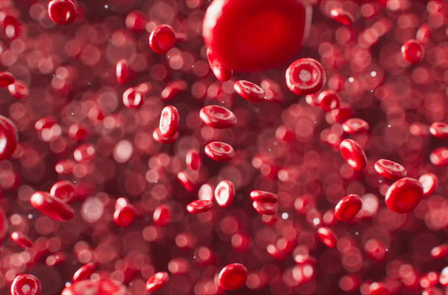 blood cells